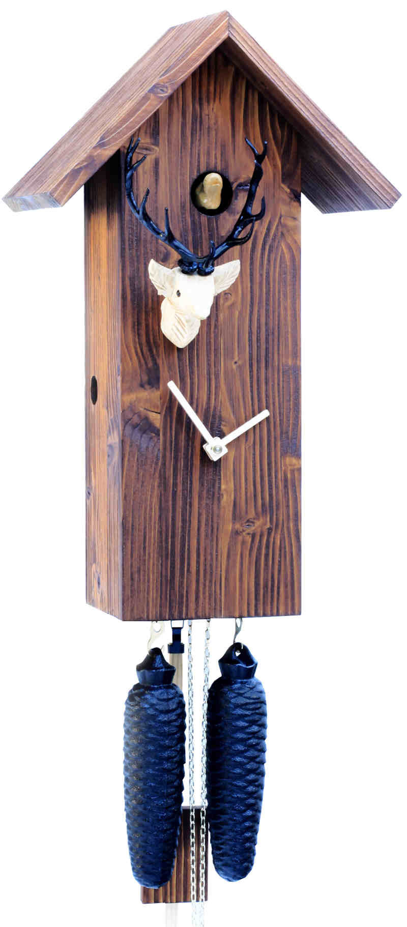 Cuckoo Clock  modern