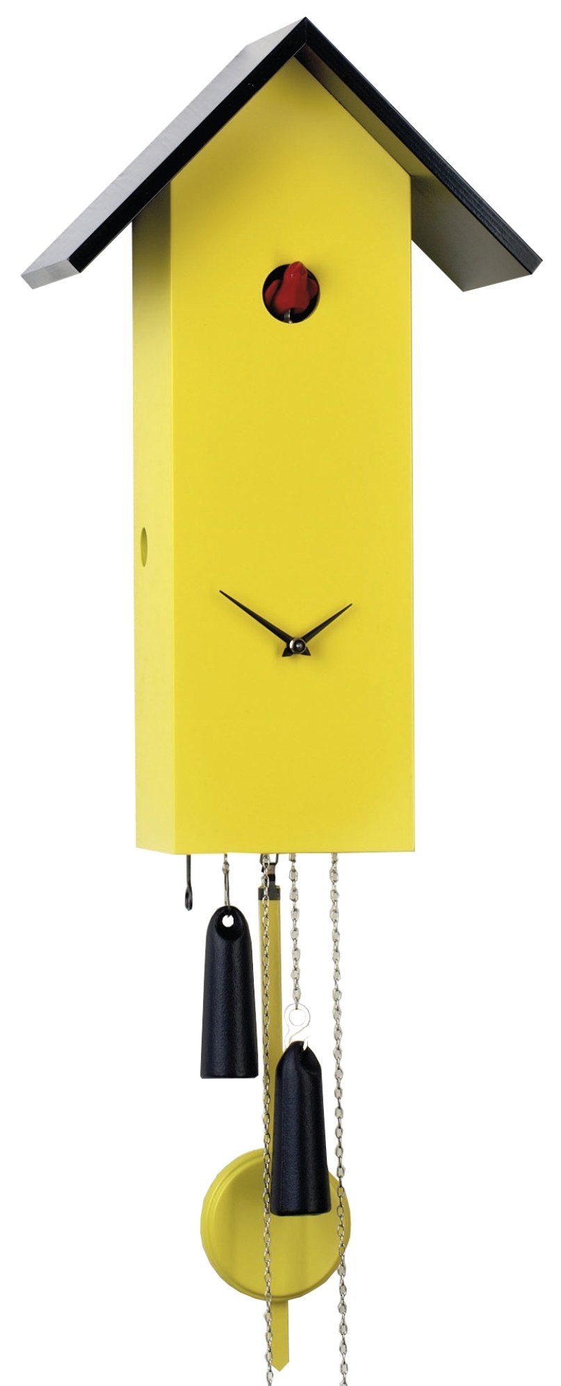 Cuckoo Clock modern