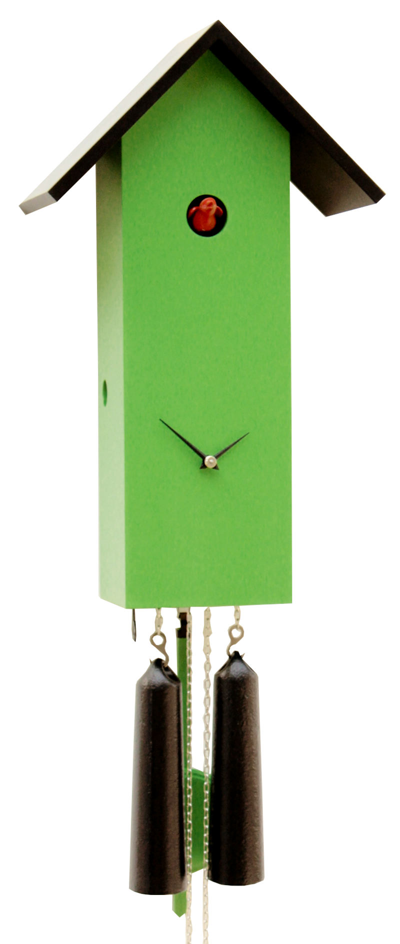 Cuckoo Clock modern