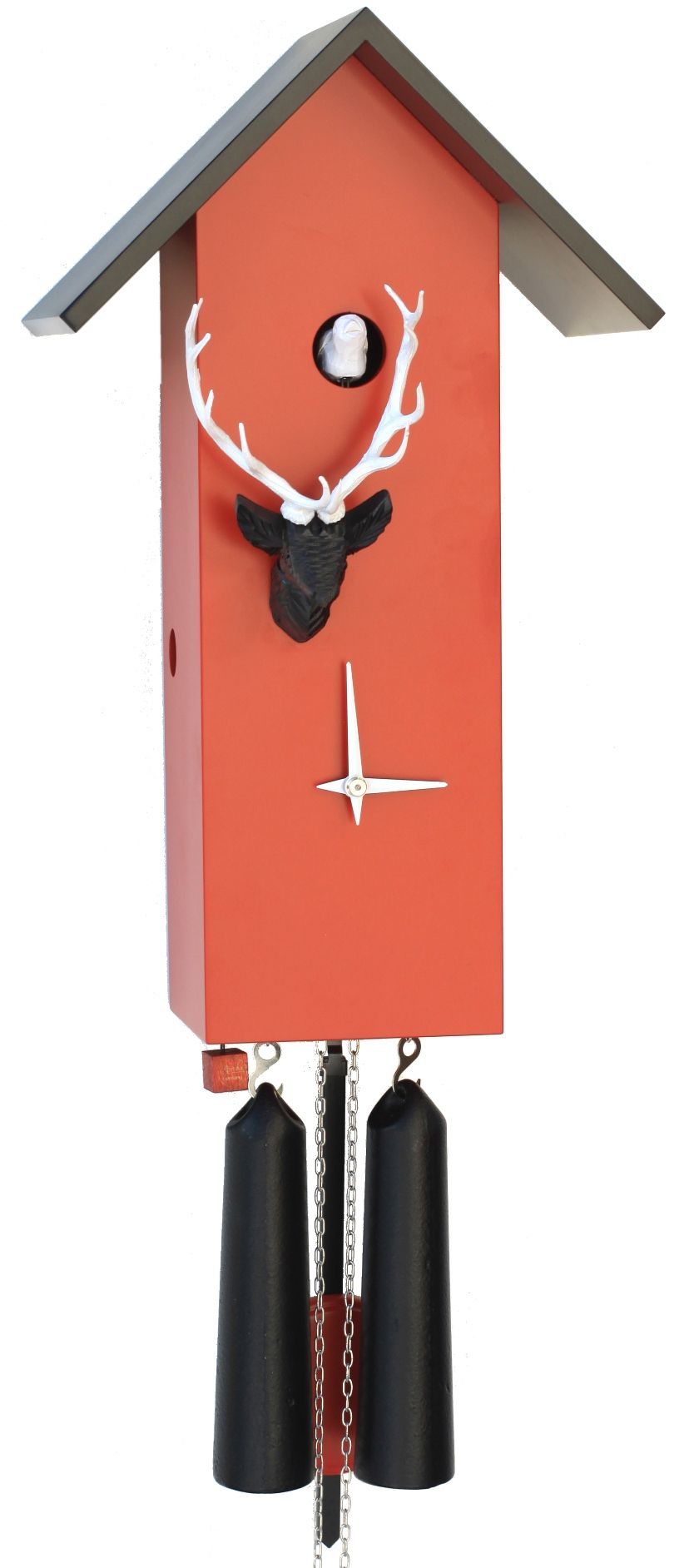 Cuckoo Clock  modern