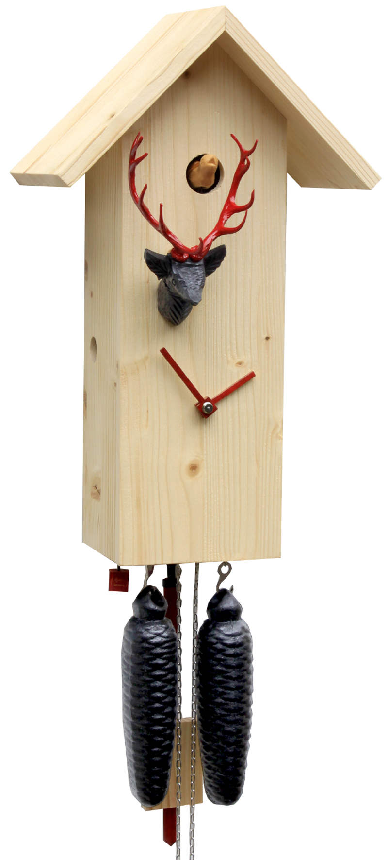 Cuckoo Clock  modern 